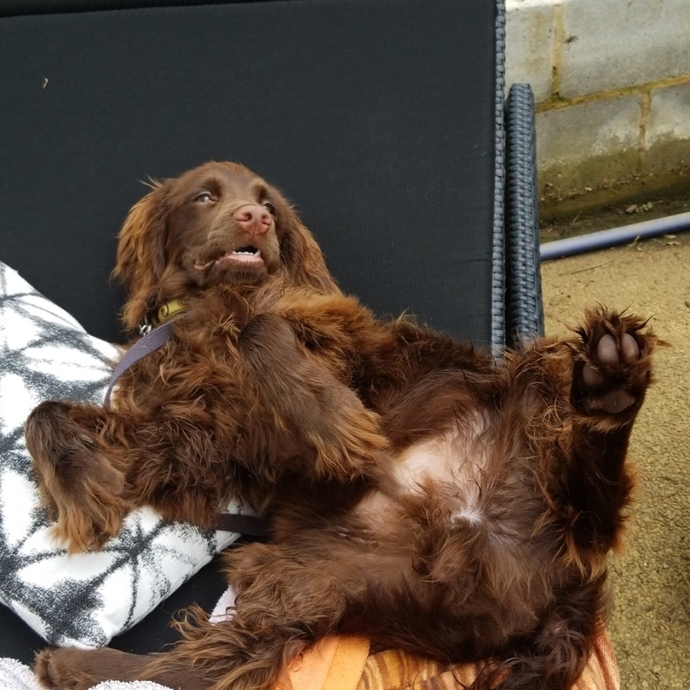 Meet your Posher, April